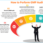 GMP Audit in Six Steps